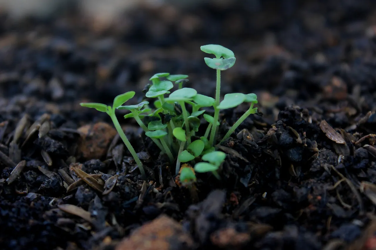 Resiliencia: ¿conocemos este concepto?